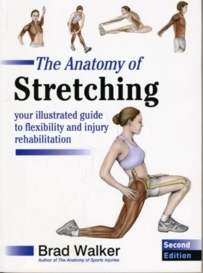 The Anatomy Of Stretching Av Brad Walker