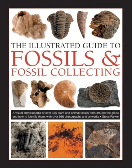 Fossils & Fossil Collecting, The Illustrated Guide To Av Steve Parker