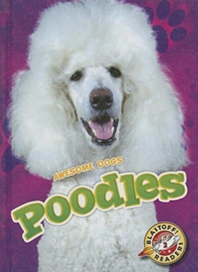 Poodles Poodles