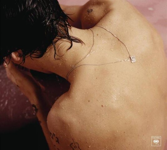 Harry Styles Harry Styles One Direction Vinyl