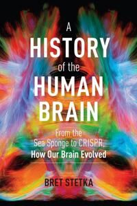 A History Of The Human Brain Av Bret Stetka