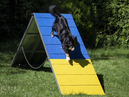 Agility Profi Møne I Aluminium Pro-Serie Agility Profi Møne I Aluminium Pro-Serie