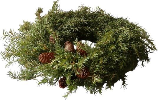 Pine Krans