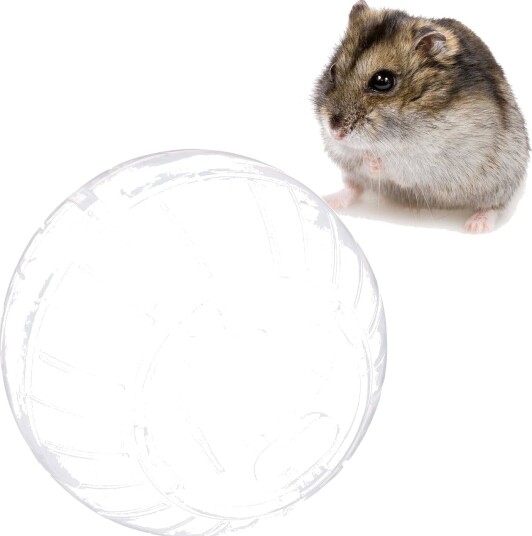 Rxs Hamsterball Gjennomsiktig