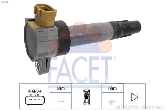 Tennspole FACET 9.6263