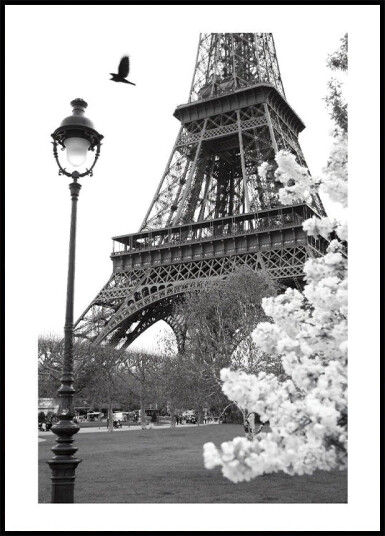 Eiffel Tower in Bloom Plakat Plakat / 70x100cm Eiffel Tower in Bloom Plakat Plakat / 70x100cm