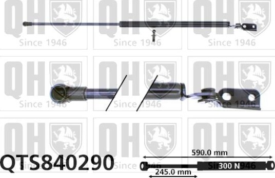 QUINTON HAZELL QTS840290 Baklukedemper