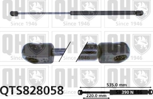 QUINTON HAZELL QTS828058 Baklukedemper
