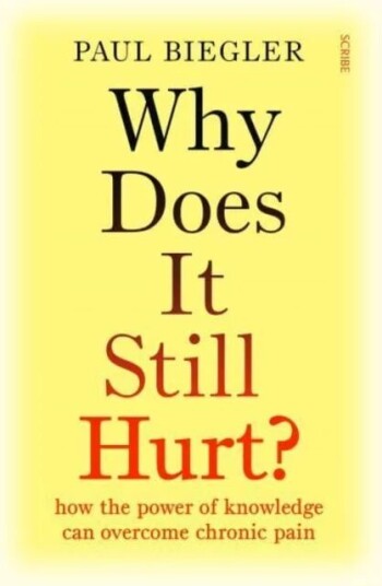 Why Does It Still Hurt? Av Paul Biegler