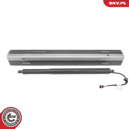 Elektromotor bakluke ESEN SKV 52SKV194