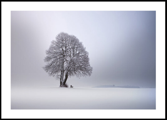 Winter light Plakat Plakat / 70x100cm