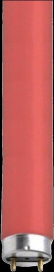 T8 lysrør rødt 18W G13 590mm Unison