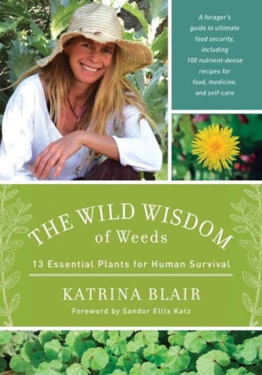 The Wild Wisdom Of Weeds Av Katrina Blair