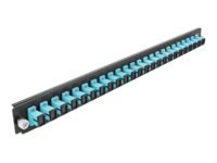 Delock - Fiber-Optic Splice Box Rack Mount Panel - Front - Sc Mm X 24 - Akvamarin - 1U - 19"
