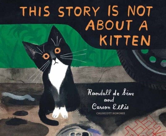 This Story Is Not About A Kitten Av Randall De Seve, Carson Ellis