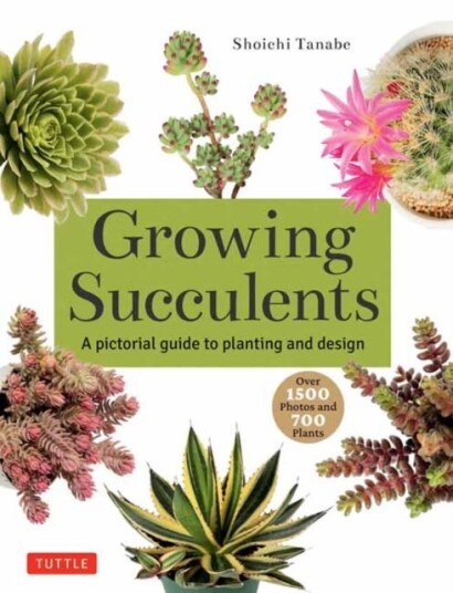 Growing Succulents Av Shoichi Tanabe