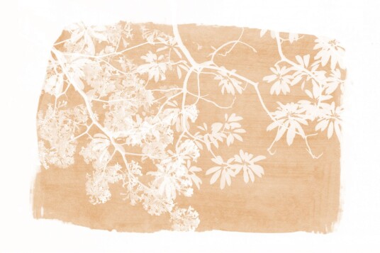 Plakat Botaniske Greiner