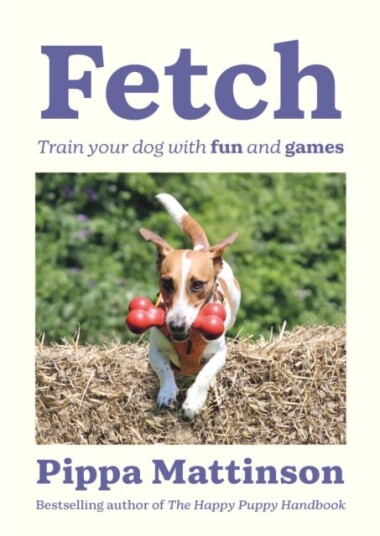 Fetch Train your Dog with Fun and Games