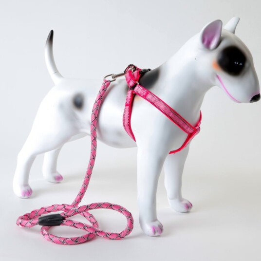 Selesett I Duse Farger: Sele Og Hundekobbel