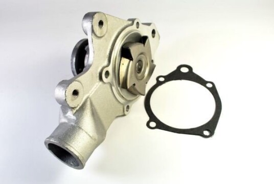 THERMOTEC D1Y000TT Vannpumpe