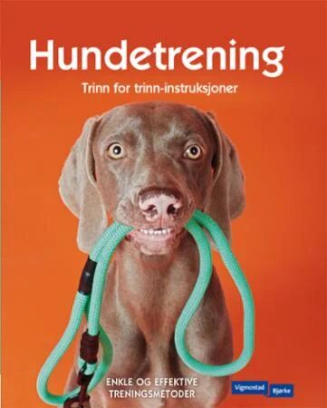 Hundetrening Av Kyra Sundance
