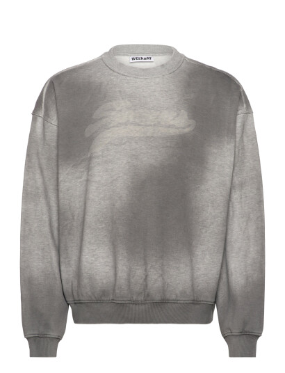Weekday Sweatshirt - Grey - XS