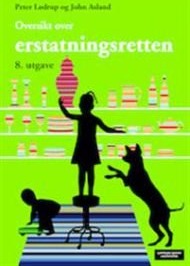 Oversikt over erstatningsretten