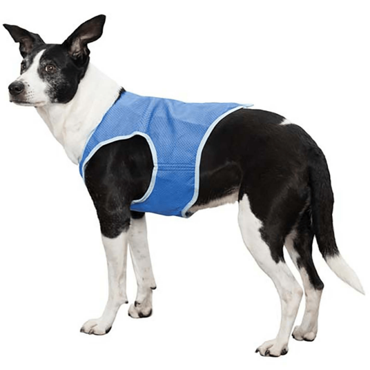 Trixie Kjølevest til Hund - XS, Termoregulerende og Gjenbrukbar Trixie Kjølevest til Hund - XS, Termoregulerende og Gjenbrukbar