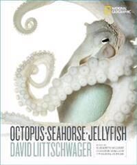 Octopus, Seahorse, Jellyfish Av David Littschwager