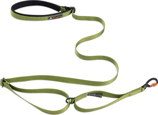 Ollydog Flagstaff Adjustable Leash Cactus 