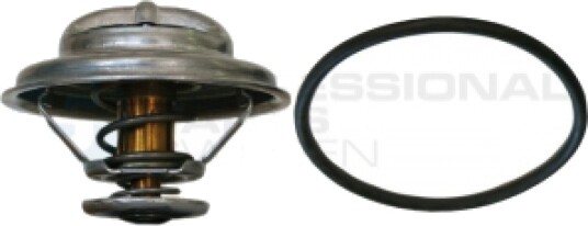 Termostat Professional Parts 26435203