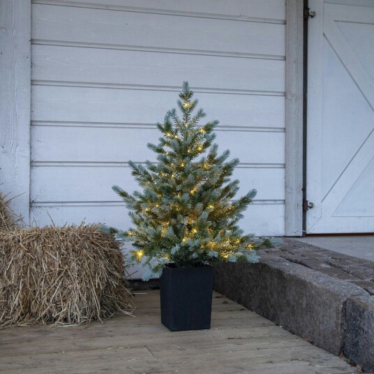 Star Trading Borddekorasjon Star Trading GranGreyland95 cm 80Lb 606 03