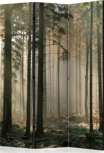 Romdeler Foggy November Morning - Artgeist sp. z o. o.