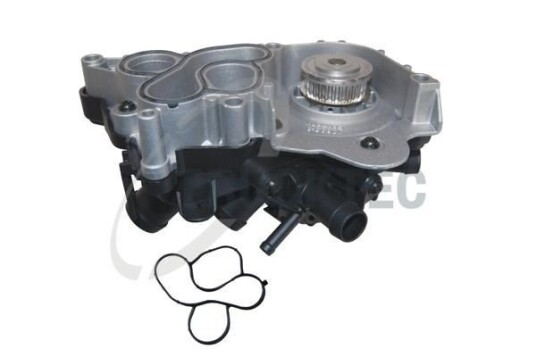 Vannpumpe TRUCKTEC AUTOMOTIVE 07.19.296