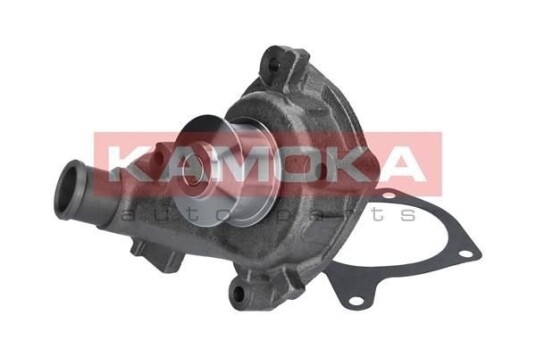Vannpumpe KAMOKA T0140