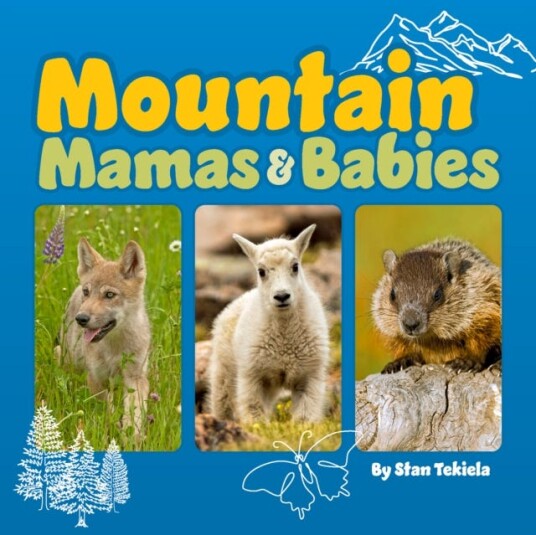 Mountain Mamas And Babies Av Stan Tekiela