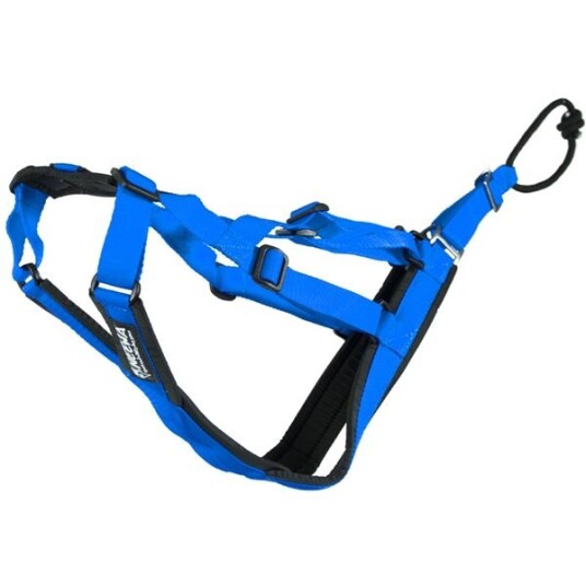 Neewa Sled Dog - X-Back Blue M