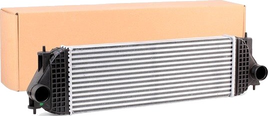 Intercooler RIDEX 468I0007