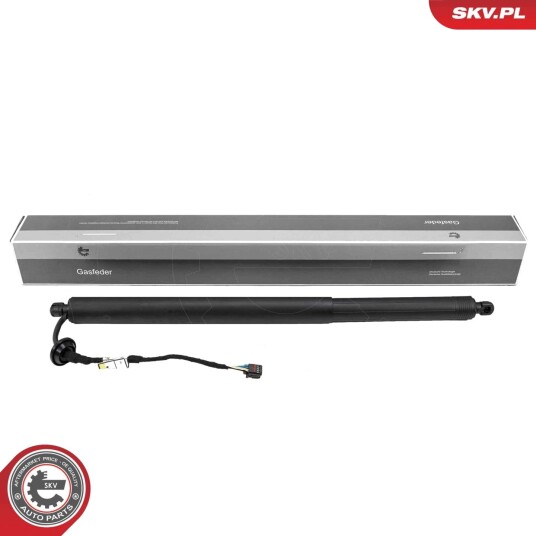 Elektromotor bakluke ESEN SKV 52SKV172