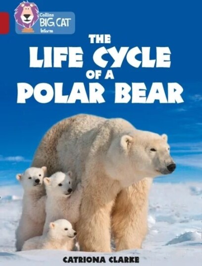 The Life Cycle Of A Polar Bear Av Catriona Clarke