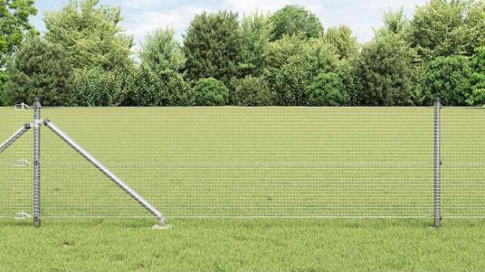 Sveist Tråd Gjerde med 13 Spikerposter 0.4x100 m Galvanisert Stål