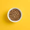Smaak Dog Adult Grain Free Lam (2 kg)