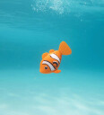 Swims - Rainbow Reef Clown Fish - (6072502)