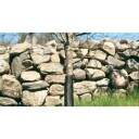 Nelson Garden 5620 Gnagebeskyttelse svart, 80 cm, 4-pakning, Avling
