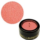Brillbird Norge Micro Glitter #3