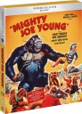 Mighy Joe Young 1949 Bluray