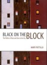 Pattillo Mary Black on the Block