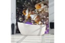 Fototapet Clownfish 250x193 - Artgeist sp. z o. o.