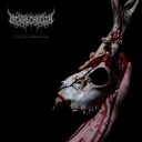 Mental Cruelty  Echoes Of A Forlorn Land  CD