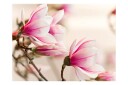 Fototapet Branch Of Magnolia Tree 400x309 - Artgeist sp. z o. o.